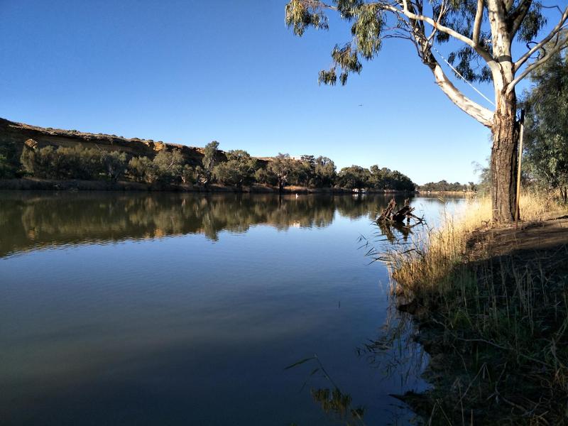 Committee meetings (all welcome - in person or via Zoom)